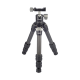 T223C+LBH-25